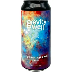 Gravity Well Termination Shock