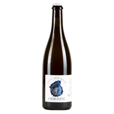 Ammonite Symphonie Solera V Blended Sour LARGE